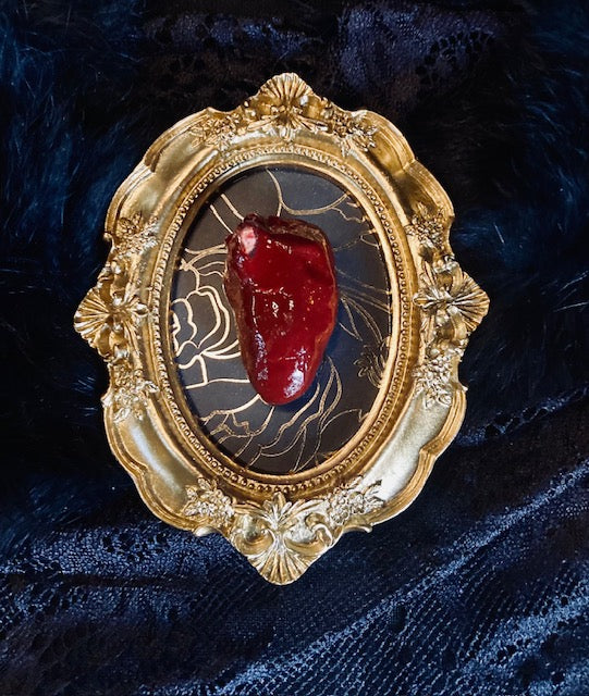 Real Mummified Bird Hearts in Ornate Frames