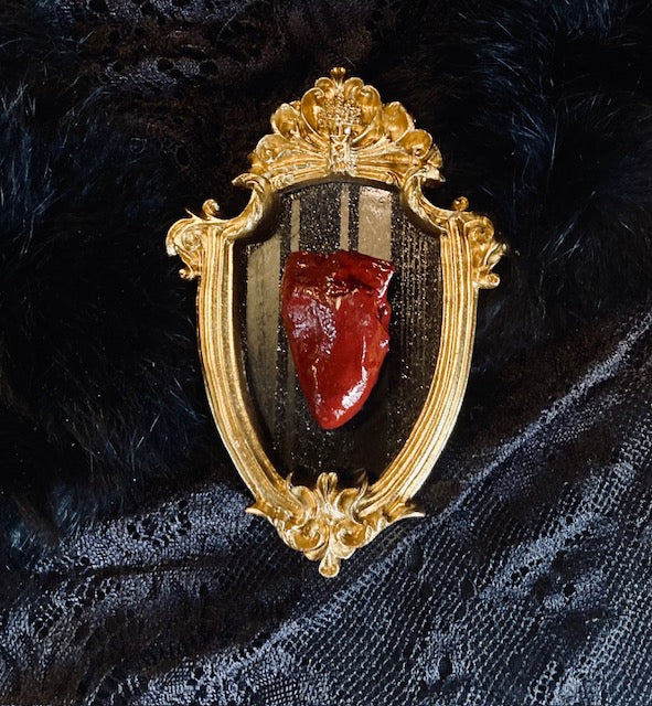 Real Mummified Bird Hearts in Ornate Frames