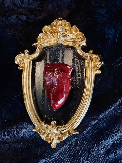 Real Mummified Bird Hearts in Ornate Frames