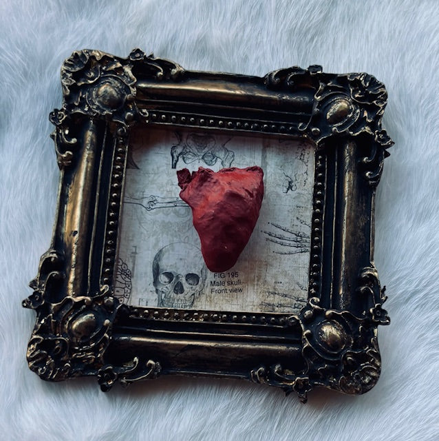 Mummified Bird Hearts in Frames D203