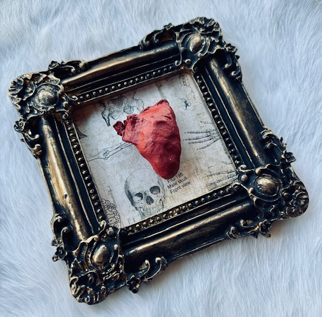 Mummified Bird Hearts in Frames D203