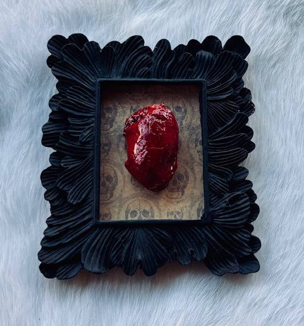Mummified Bird Hearts in Frames D203