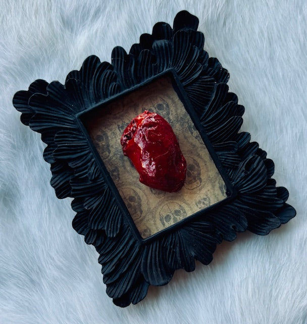 Mummified Bird Hearts in Frames D203