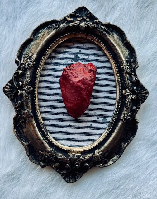 Mummified Bird Hearts in Frames D203