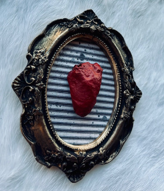 Mummified Bird Hearts in Frames D203