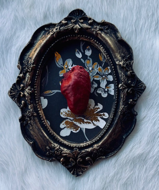 Mummified Bird Hearts in Frames D203