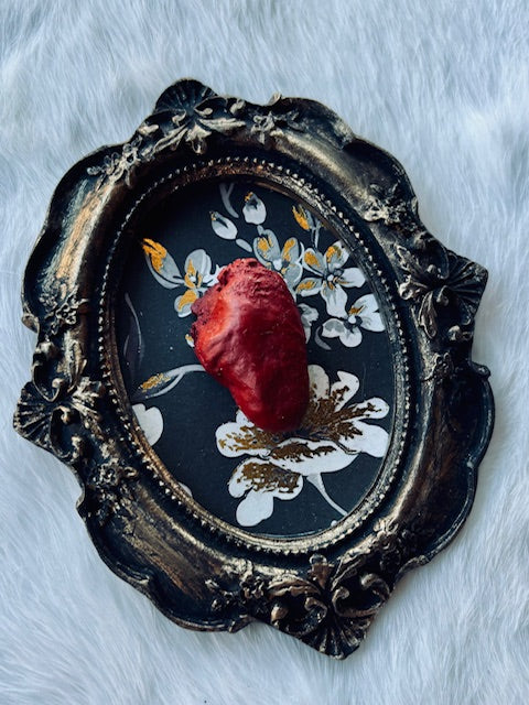 Mummified Bird Hearts in Frames D203