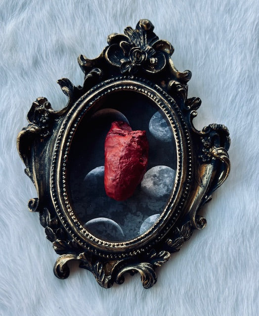 Mummified Bird Hearts in Frames D203