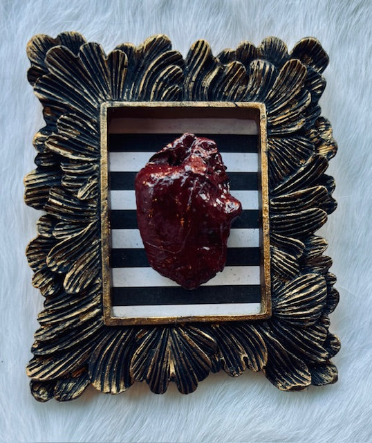 Mummified Bird Hearts in Frames D203
