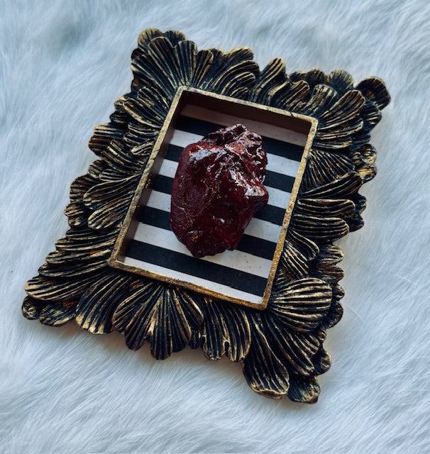 Mummified Bird Hearts in Frames D203