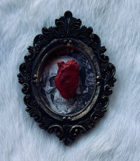 Mummified Bird Hearts in Frames D203