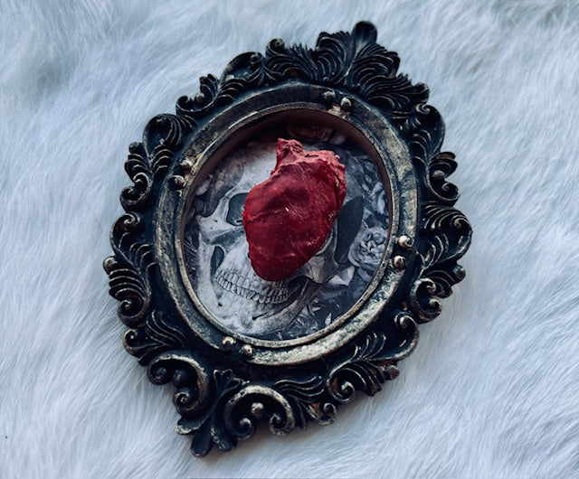 Mummified Bird Hearts in Frames D203