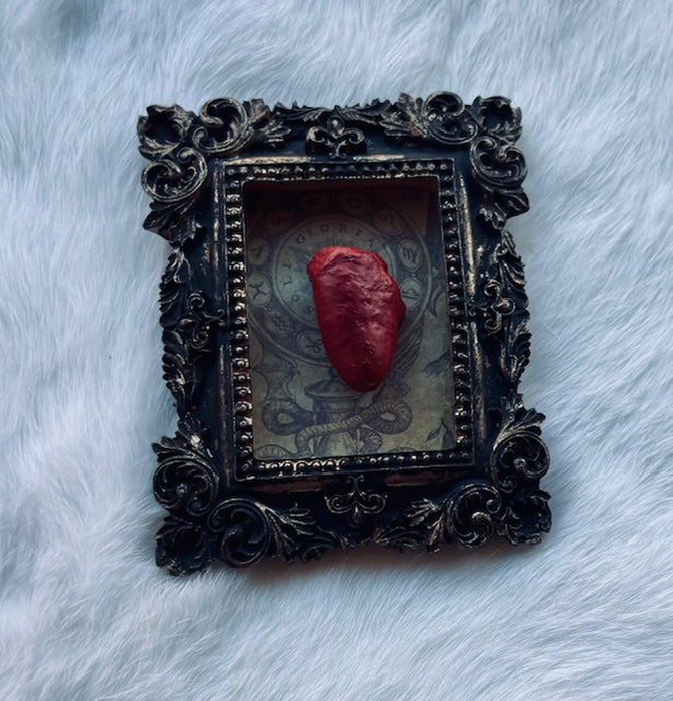 Mummified Bird Hearts in Frames D203