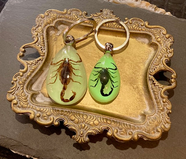 Glow in the Dark Scorpion Keychain