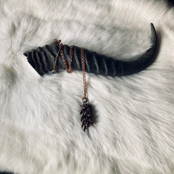 Copper Rattlesnake Spine N272 – Morbid Mementos Oddities and Occult