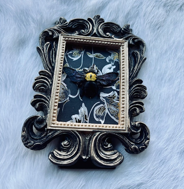 Yellow Carpenter Bee Frame d464