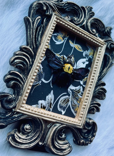 Yellow Carpenter Bee Frame d464